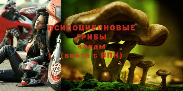 2c-b Алексин