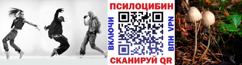 Галлюциногенные грибы ЛСД  Мещовск 